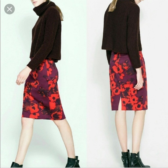 Zara Pencil Skirt - Picture 1 of 2